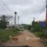  Grundstück zu verkaufen in Hua Hin, Prachuap Khiri Khan, Nong Kae