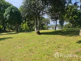 ขายที่ดิน ใน ห้วยสัก, เชียงราย, ห้วยสัก, เมืองเชียงราย, เชียงราย