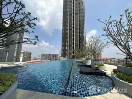 1 Bedroom Condo for rent at Supalai Veranda Ramkhamhaeng, Hua Mak, Bang Kapi, Bangkok