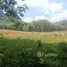 ขายที่ดิน ใน อ่าวนาง, กระบี่, อ่าวนาง