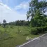  Land for sale in Cha-Am, Phetchaburi, Cha-Am, Cha-Am, Phetchaburi, Thailand