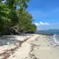  Land for sale in Thalang Phuket, Pa Khlok, Thalang, Phuket