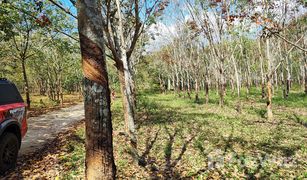 N/A Land for sale in Chiang Klom, Loei 