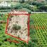  Land for sale in Nakhon Ratchasima, Phaya Yen, Pak Chong, Nakhon Ratchasima