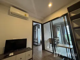 อพาร์ทเม้นท์ 1 ห้องนอน ให้เช่า ในโครงการ เดอะ เนสท์ สุขุมวิท 64, บางจาก, พระโขนง