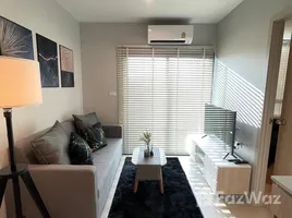 1 Bedroom Condo for rent at Nue Noble Srinakarin - Lasalle, Samrong Nuea, Mueang Samut Prakan