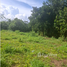  Land for sale in Koh Samui Surat Thani, Maret, Koh Samui