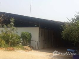  Land for sale in Hang Chat, Lampang, Nong Lom, Hang Chat