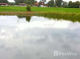 ขายที่ดิน ใน พระบาท, ลำปาง, พระบาท