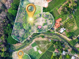 ขายที่ดิน ใน ป่าเมี่ยง, เชียงใหม่, ป่าเมี่ยง, ดอยสะเก็ด, เชียงใหม่