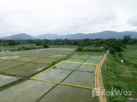  Terrain for sale in Nong Yaeng, San Sai, Nong Yaeng