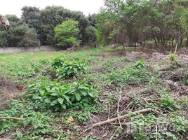  Terrain for sale in Santa Elena, Santa Elena, Manglaralto, Santa Elena