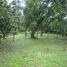  Land for sale in San Mateo, Alajuela, San Mateo