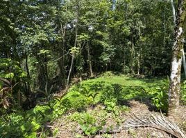  Terreno (Parcela) en venta en Uvita, Osa, Puntarenas