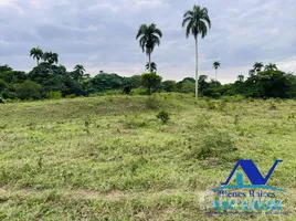 Terrain à vendre à San Felipe De Puerto Plata, Puerto Plata, San Felipe De Puerto Plata, Puerto Plata, République dominicaine