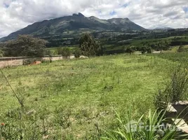  Terrain for sale in Imbabura, Cotacachi, Cotacachi, Imbabura