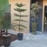 4 غرفة نوم منزل for rent in المغرب, Loudaya, مراكش, Marrakech - Tensift - Al Haouz, المغرب