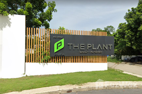The Plant Onnut-Motorway Real Estate Project in Sisa Chorakhe Noi, Samut Prakan