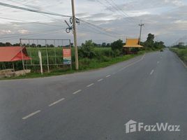  Terrain for sale in Nakhon Ratchasima, Nong Bua Noi, Sikhio, Nakhon Ratchasima