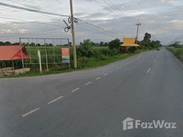  Land for sale in Nakhon Ratchasima, Nong Bua Noi, Sikhio, Nakhon Ratchasima