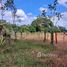  Land for sale in Costa Rica, Pococi, Limon, Costa Rica