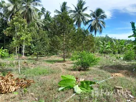  Земельный участок for sale in Pa Phayom, Phatthalung, Lan Khoi, Pa Phayom