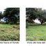  Terreno (Parcela) en venta en Costa Rica, Esparza, Puntarenas, Costa Rica