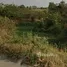  Land for sale in Sung Noen Nakhon Ratchasima, Na Klang, Sung Noen, Nakhon Ratchasima