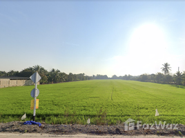 在暖武里出售的 土地, Rat Niyom, Sai Noi, 暖武里