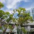 3 спален Дом в аренду в Cherie Villa Sathorn, Thung Wat Don