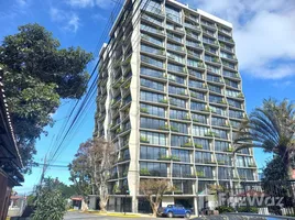 1 Schlafzimmer Appartement zu vermieten im Pavas, Escazu, San Jose
