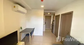 ยูนิตมือสองและให้เช่า