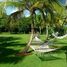  Grundstück zu verkaufen im Vila Cecília Maria, Fernando De Noronha, Fernando De Noronha, Rio Grande do Norte, Brasilien