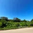  Land for sale in Laguna, Choeng Thale, Choeng Thale