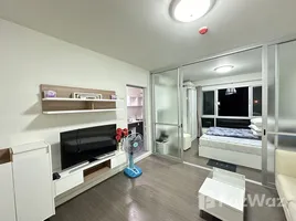 คอนโด 1 ห้องนอน ให้เช่า ในโครงการ ดีคอนโด กาญจนวนิช หาดใหญ่, คอหงส์, หาดใหญ่, สงขลา, ไทย