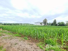  Land for sale in Kan Chu, Phetchabun, Kan Chu, Bueng Sam Phan, Phetchabun, Thailand
