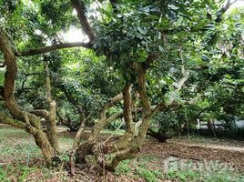 Land for sale in San Sai, Chiang Mai, Mae Faek, San Sai