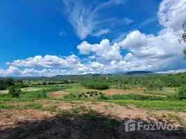  Земельный участок for sale in Таиланд, Thung Khao Phuang, Chiang Dao, Чианг Маи, Таиланд