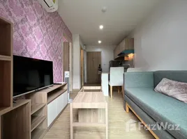 คอนโด 1 ห้องนอน ให้เช่า ในโครงการ ดิ เอ็กเซล ไฮด์อะเวย์ สุขุมวิท 50 , พระโขนง