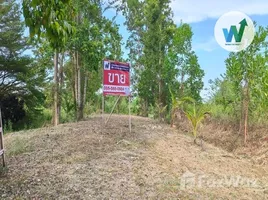 ขายที่ดิน ใน ท่าประจะ, นครศรีธรรมราช, ท่าประจะ, ชะอวด, นครศรีธรรมราช, ไทย