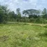Terrain à vendre à San Felipe De Puerto Plata, Puerto Plata, San Felipe De Puerto Plata