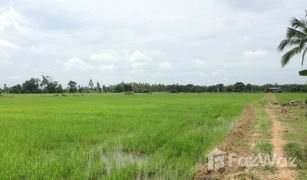 Земельный участок, N/A на продажу в Songtham, Kamphaeng Phet 