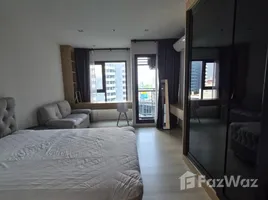 อพาร์ทเม้นท์ 1 ห้องนอน ให้เช่า ในโครงการ ไลฟ์ วัน ไวร์เลส, ลุมพินี, ปทุมวัน