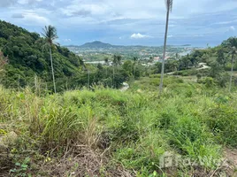 ขายที่ดิน ใน บ่อผุด, สุราษฎร์ธานี, บ่อผุด