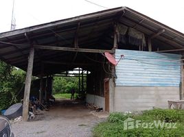  Земельный участок for sale in Li, Лампхун, Si Wichai, Li