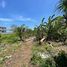  Land for sale in Bali, Kediri, Tabanan, Bali