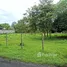  Land for sale in Nam Phrae, Chiang Mai, Nam Phrae, Hang Dong, Chiang Mai