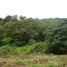  Land for sale in Sora, Chame, Sora