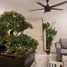 1 Bedroom Condo for rent at Natureza Art, Na Kluea