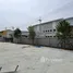  Warehouse for rent in Thai Ko, Pathum Thani, Thai Ko, Sam Khok